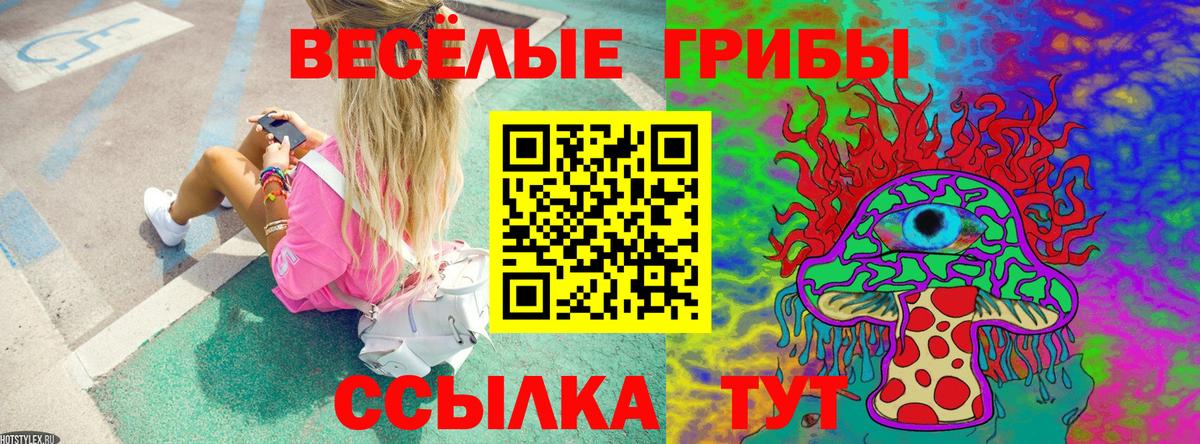 Псилоцибиновые грибы Magic Shrooms  Вход с VPN  наркота  Назрань  Псилоцибиновые грибы Psilocybe 